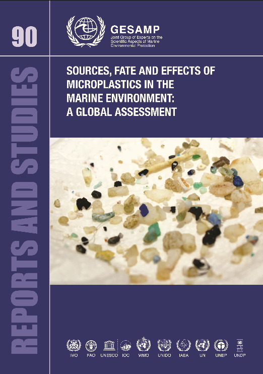 Sources, Fate And Effects Of Microplastics In The Marine Environment ...